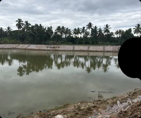 Lake Rejuvenation Mysuru image 2