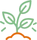 Saplings Planted