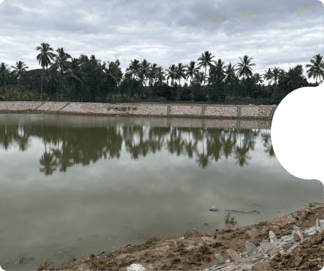 Lake Rejuvenation Mysuru image 2